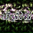 snaryad137