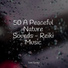 Pro Sounds of Nature, Yoga Music, Rain Hard
