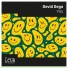 Devid Dega