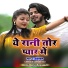Avinash Das
