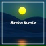 Birdoo Kumle