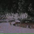 cxldwind