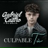 Gabriel Castro Y Su Delta