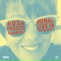 Rosa Passos