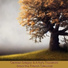NBC Symphony Orchestra, Arturo Toscanini