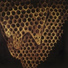 Telefon Tel Aviv