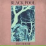Black Pool