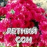 Сергей Грищук