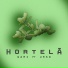 GAMI, URSO