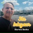 Haroon Bacha