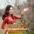 Shandi Gul
