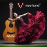 VeeTune