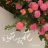 王佳音Sgr