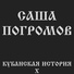 Саша Погромов