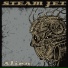 Steam Jet