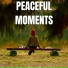 the peaceful garden