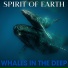 Spirit Of Earth