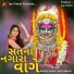 Abhita Patel, Nitin Barot