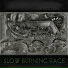 Slow Burning Rage
