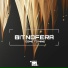 Bitnofera