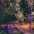 SXRGMXRDER