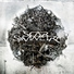 Scar Simmetry