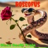 Roseofus