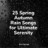 Alpha Waves, Rain for Deep Sleep, Preschool Kids
