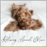 Pet Care Club, Calm Animals Music