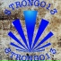STRONGO13