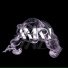 AMRI