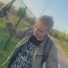 neSeny
