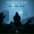 Techno Ray