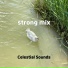 Celestial Sounds