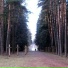 Алла Макарова