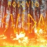 Folcvig
