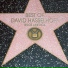 David Hasselhoff