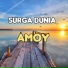 Amoy