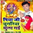 Vikash Raj, Renu Devi