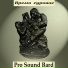 Pro Sound Bard