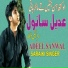 Adeel Sanwal