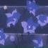 strangemoon