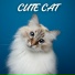 Cat Relaxing Master