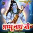 Bijendra Chobdaar