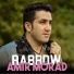 AMIR MORAD