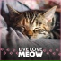 Music For Cats
