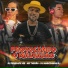 Mc Tigrão, dj penelope lee, DjMarcelinhoRj