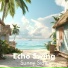 Echo Swing