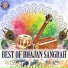 Sanjeevani Bhelande