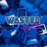 Wasted Youth